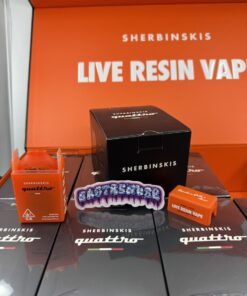 SHERBINSKIS DISPOSABLE