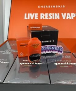 SHERBINSKIS DISPOSABLE